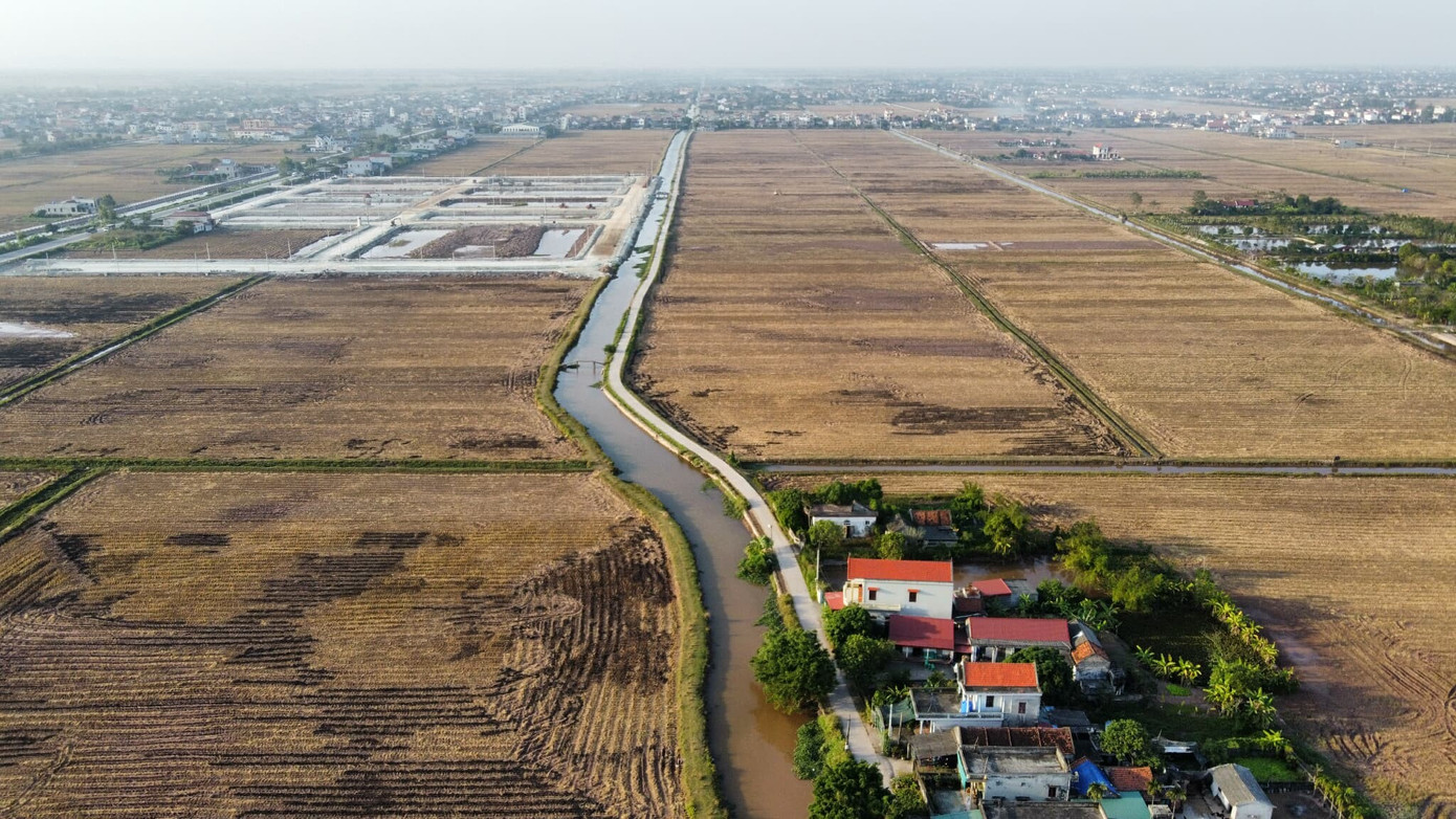 Đấu giá đất vùng quê: Chưa lên sàn 'cò đất' đổ về gây náo loạn - Ảnh 4