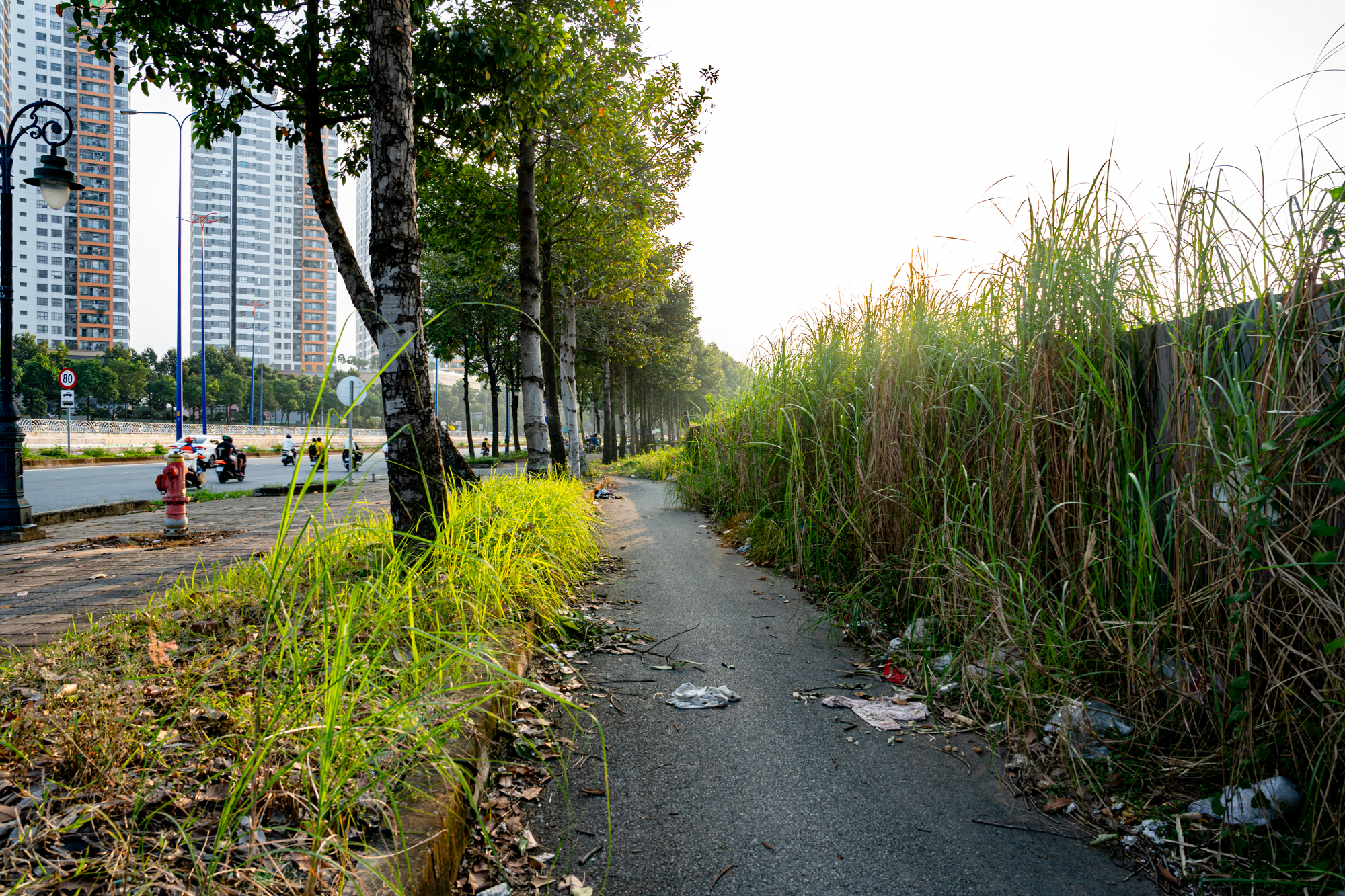 Khu vực sẽ là ga cuối của tuyến đường sắt cao tốc 67 tỷ USD, cách trung tâm TP.HCM chỉ vài km - Ảnh 6