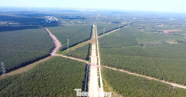 Hình hài đường cao tốc TPHCM đi Tây Nguyên sau gần 1 năm khởi công