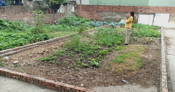 Từ 1/1/2026, chính thức giảm 70% tiền chuyển đất nông nghiệp lên đất thổ, người dân cần chú ý