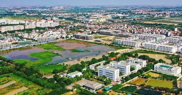 Xác định giá đất: Không tự ý đưa ra phương pháp mới khi chưa có căn cứ