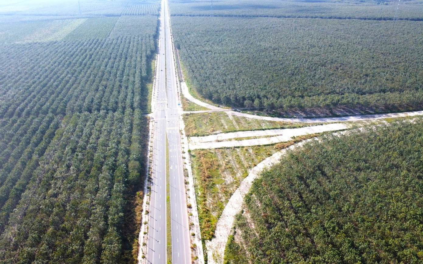 Hình hài đường cao tốc TPHCM đi Tây Nguyên sau gần 1 năm khởi công - Ảnh 19