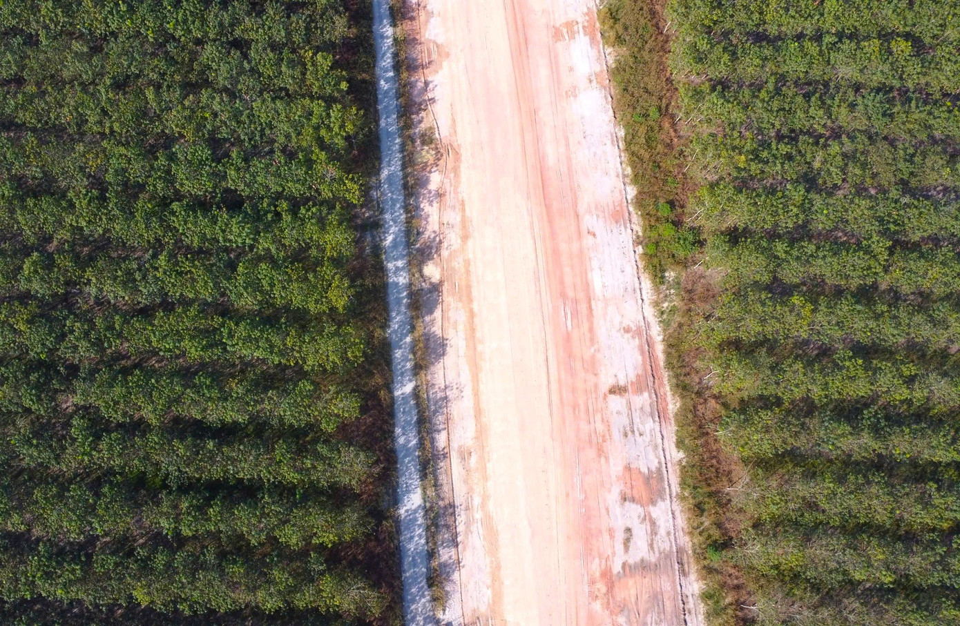 Hình hài đường cao tốc TPHCM đi Tây Nguyên sau gần 1 năm khởi công - Ảnh 14