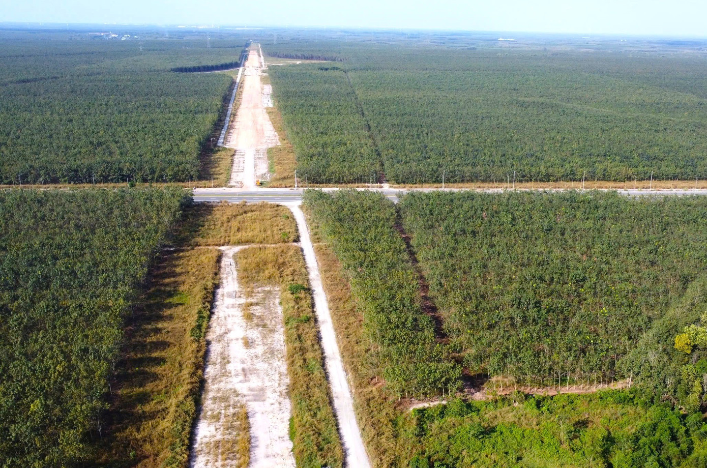 Hình hài đường cao tốc TPHCM đi Tây Nguyên sau gần 1 năm khởi công - Ảnh 15