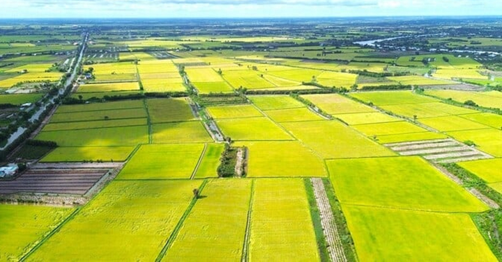 Giá đất nông nghiệp vài trăm nghìn đồng/m², quá thấp so với đất ở: Có nên tăng? - Ảnh 1