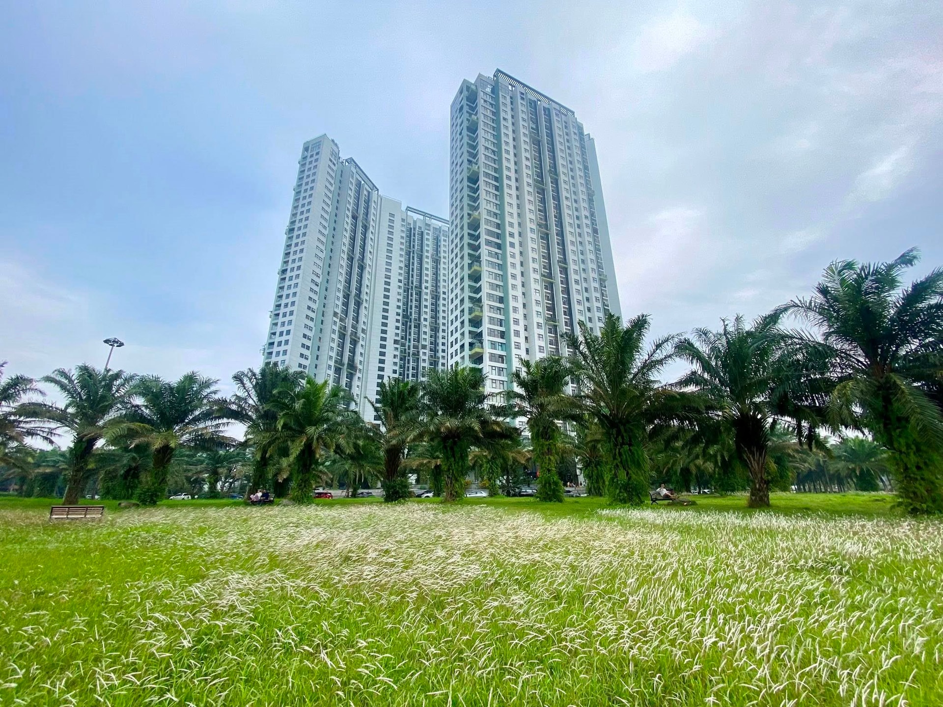 Tại sao  phân khúc cao cấp chiếm chủ đạo thị trường bất động sản? - Ảnh 1