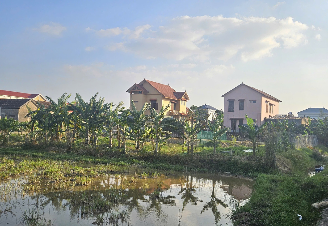 Quảng Trị: Sẽ thu hồi 1.500m² đất cho gia đình nguyên bí thư phường thuê 500.000 đồng/năm - Ảnh 1