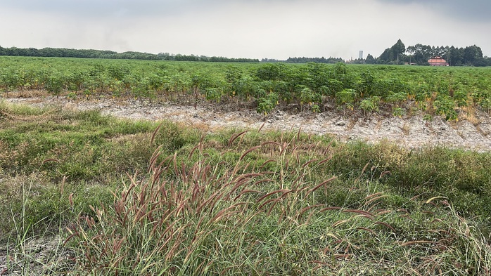 Cận cảnh khu đất giá khởi điểm hơn 5.000 tỉ đồng ở Đồng Nai - Ảnh 7