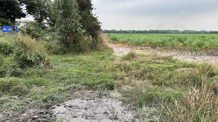 Cận cảnh khu đất giá khởi điểm hơn 5.000 tỉ đồng ở Đồng Nai - Ảnh 8