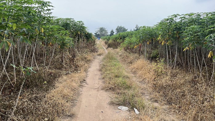 Cận cảnh khu đất giá khởi điểm hơn 5.000 tỉ đồng ở Đồng Nai - Ảnh 11