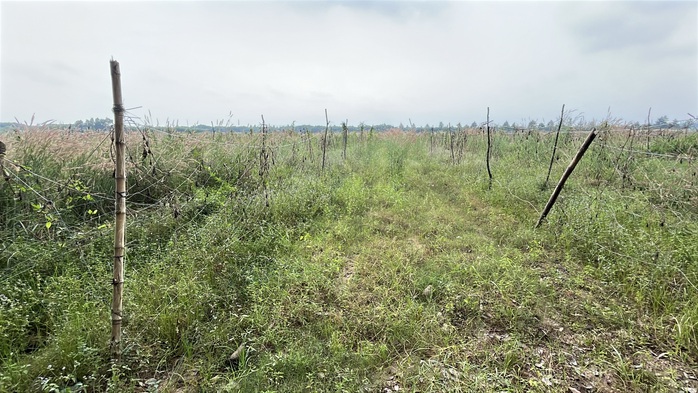 Cận cảnh khu đất giá khởi điểm hơn 5.000 tỉ đồng ở Đồng Nai - Ảnh 4