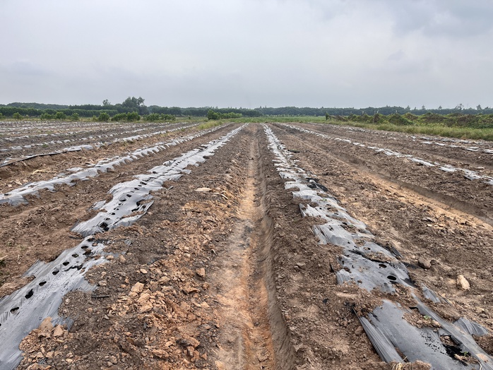 Cận cảnh khu đất giá khởi điểm hơn 5.000 tỉ đồng ở Đồng Nai - Ảnh 12