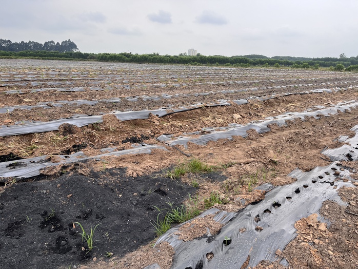 Cận cảnh khu đất giá khởi điểm hơn 5.000 tỉ đồng ở Đồng Nai - Ảnh 3