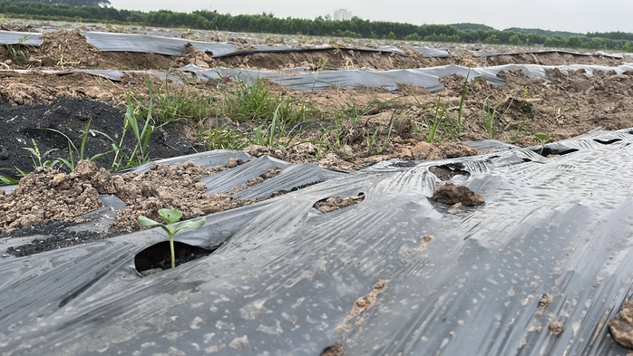 Cận cảnh khu đất giá khởi điểm hơn 5.000 tỉ đồng ở Đồng Nai - Ảnh 5