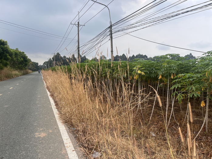 Cận cảnh khu đất giá khởi điểm hơn 5.000 tỉ đồng ở Đồng Nai - Ảnh 13