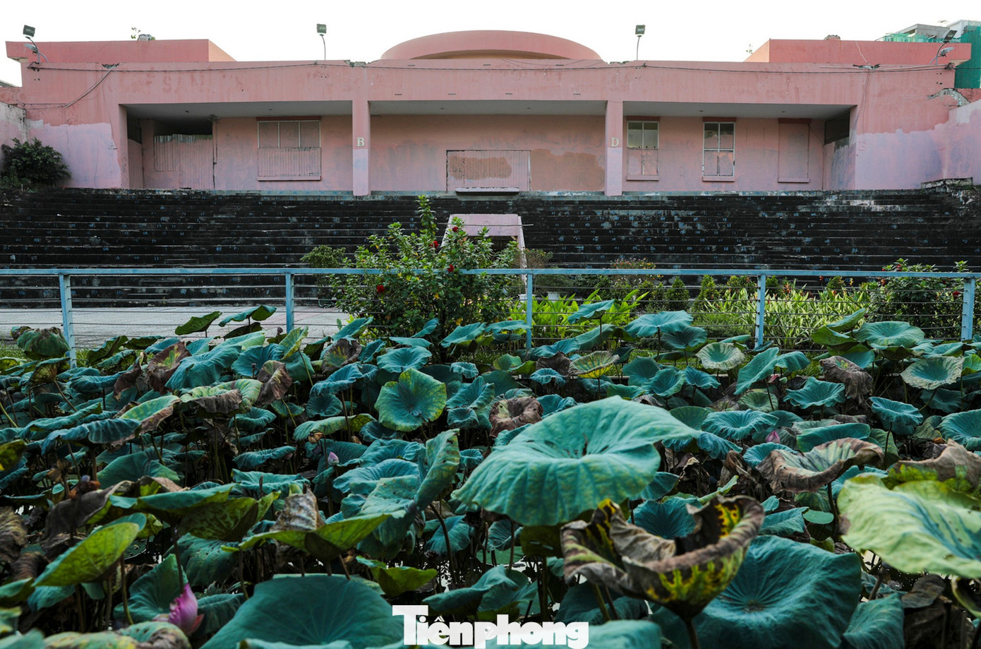 Cận cảnh sân khấu giữa trung tâm TPHCM sắp thành bãi giữ xe metro - Ảnh 7