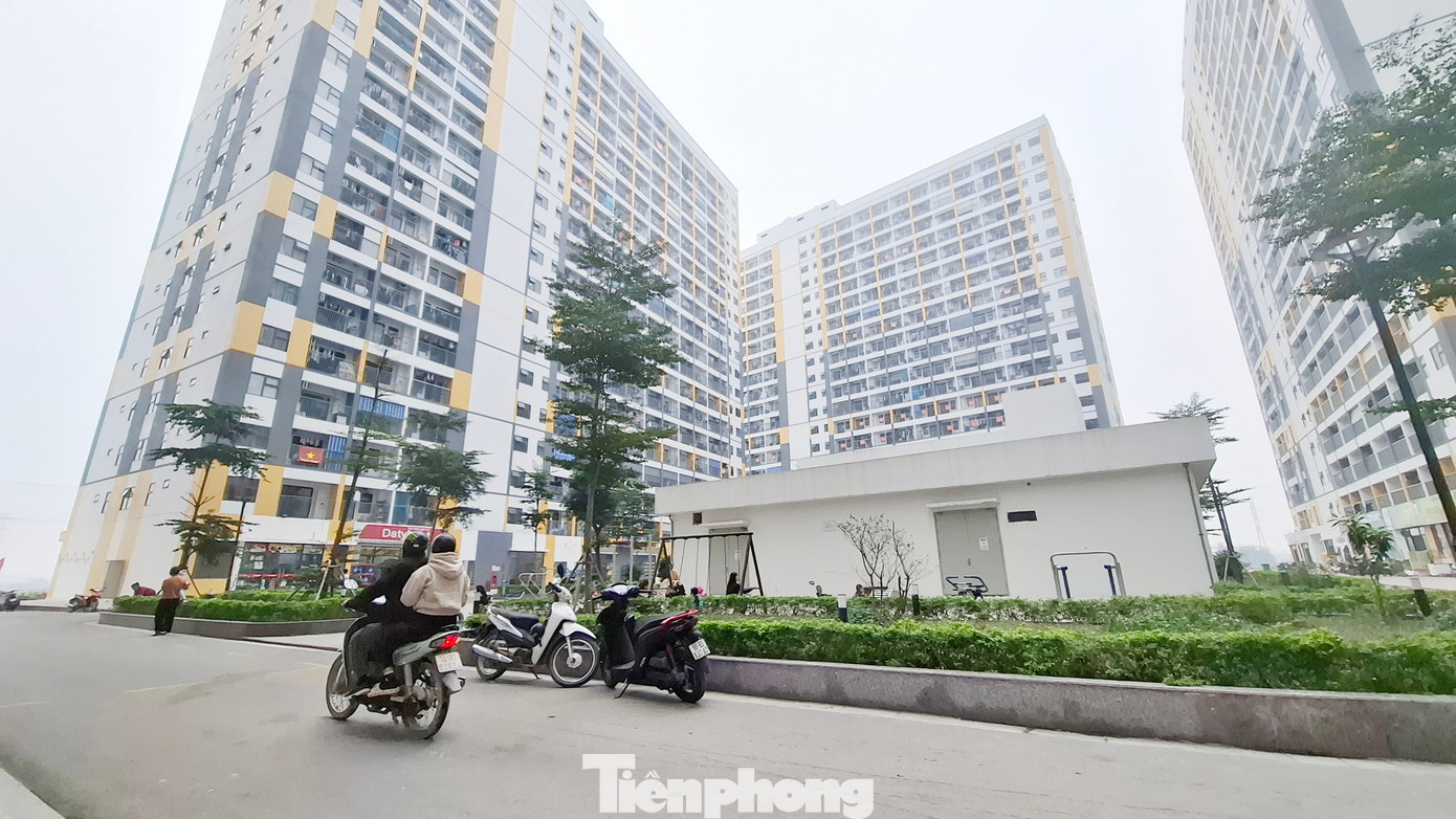 Bắc Ninh, Hải Phòng phát hiện hàng loạt sai phạm mua bán nhà ở xã hội - Ảnh 1