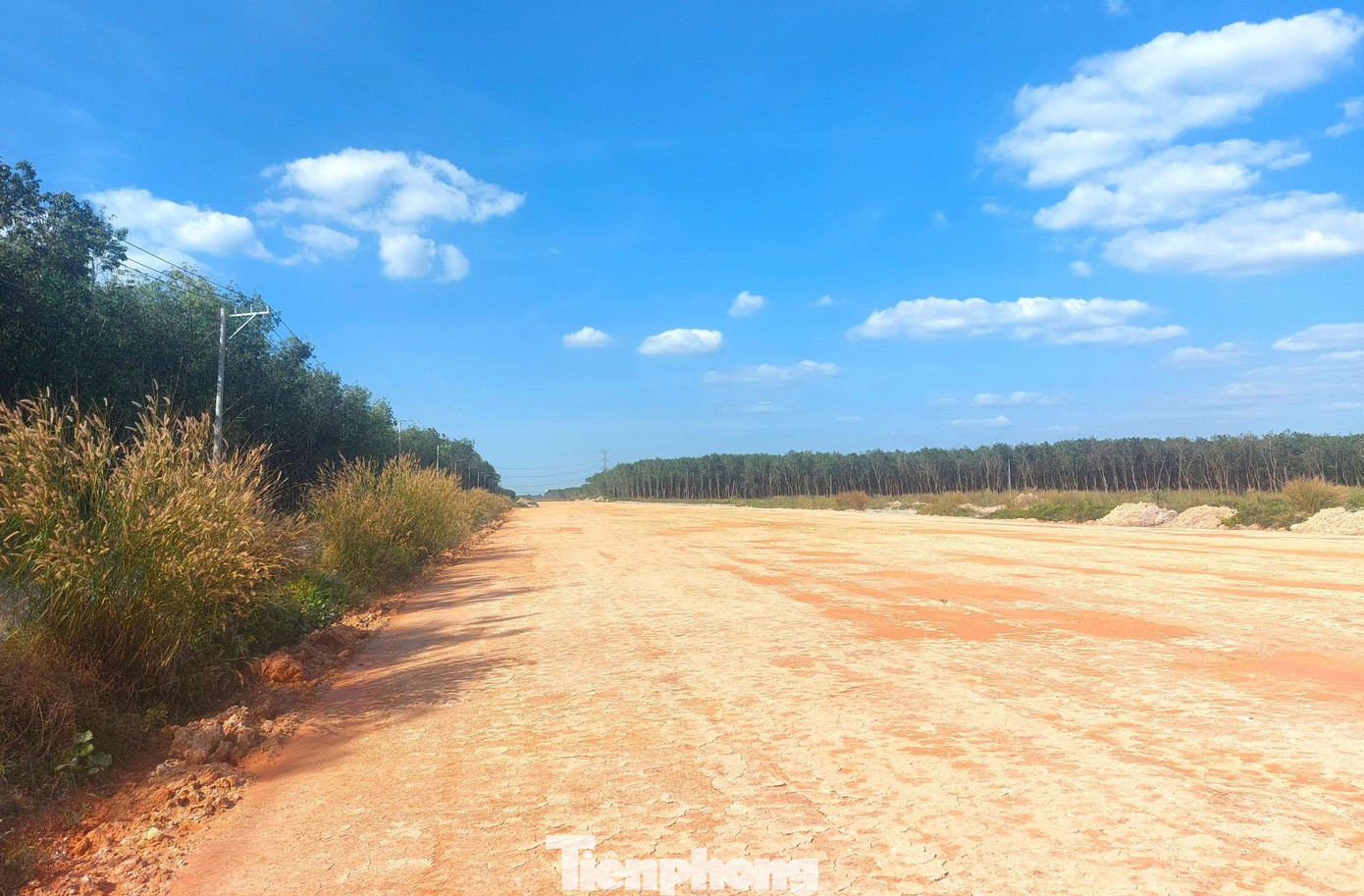 Hình hài đường cao tốc TPHCM đi Tây Nguyên sau gần 1 năm khởi công - Ảnh 6