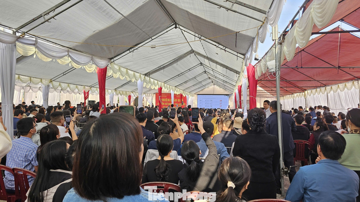 Đấu giá đất vùng quê: Giá 'bị đẩy' lên cao gấp 3 lần giá khởi điểm - Ảnh 1