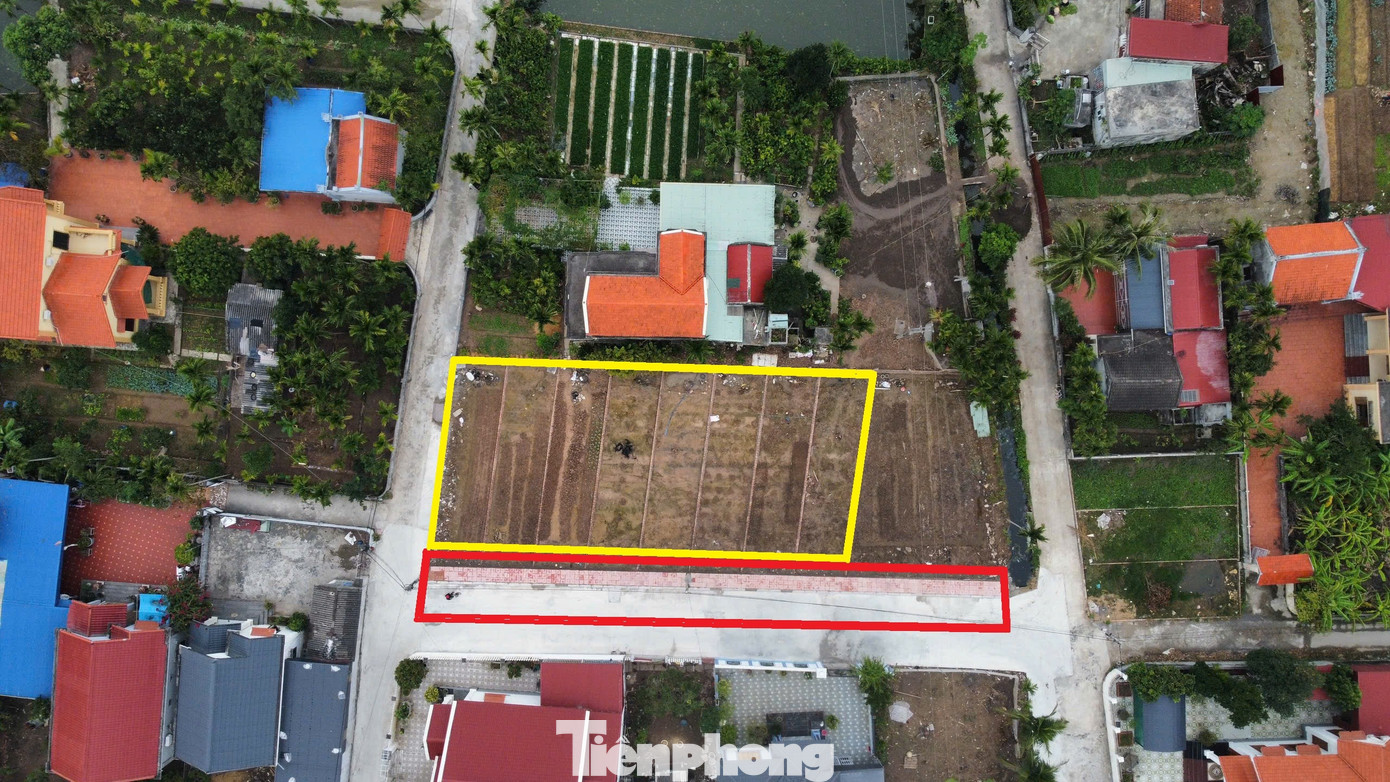 Hải Phòng xem xét trách nhiệm chủ tịch xã, phường để xảy ra vi phạm đất đai - Ảnh 4