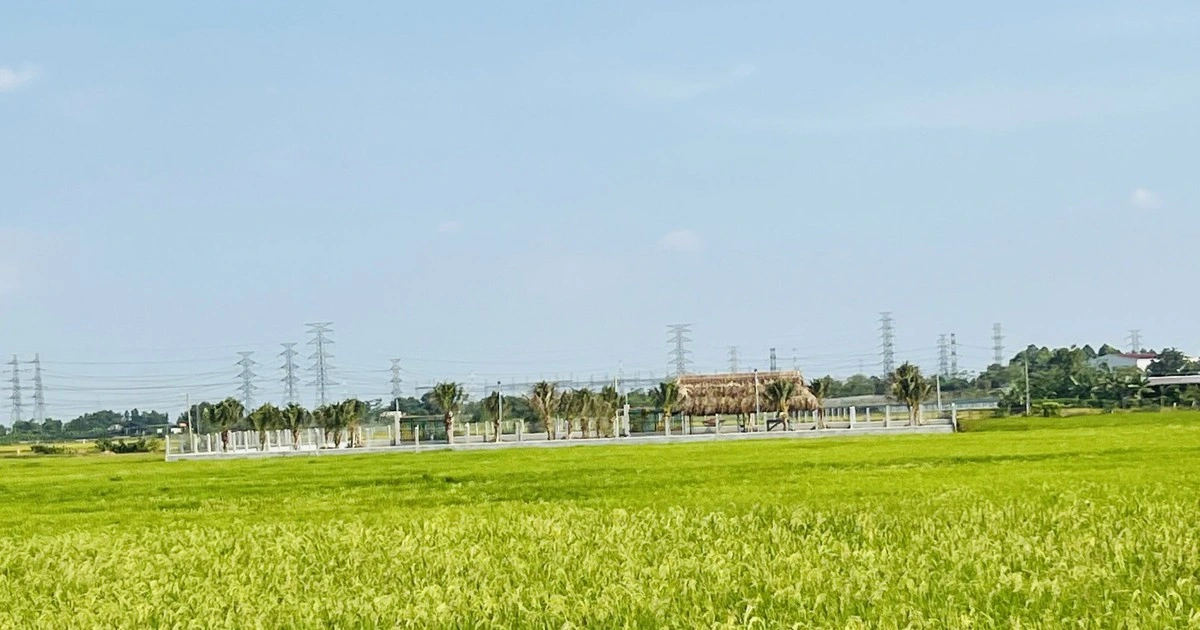 Đưa khuyến nông về cấp xã