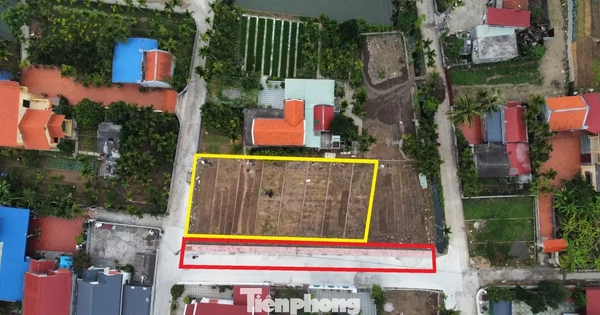 Hải Phòng cho phép chuyển đổi mục đích sử dụng đất trở lại