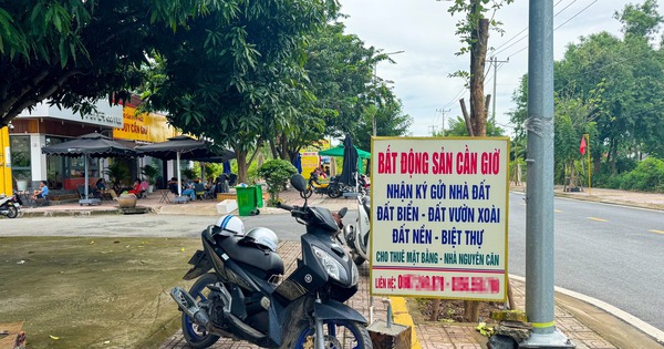 Thị trường nhà ở TP.HCM bùng nổ giao dịch vào cuối năm, động lực chính đến từ đại đô thị lấn biển Cần Giờ