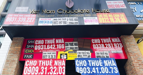 Có 2 nhà cho thuê ở 2 nơi khác nhau, doanh thu 900 triệu đồng/năm: Vì sao không được “chia nhỏ” để giảm thuế?