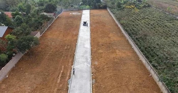 Tự ý phân lô, bán nền trên đất nông trường tại xã Phú Cát - TP. Hà Nội