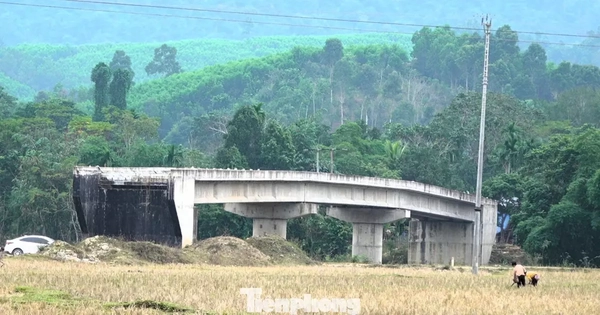 Cầu tiền tỷ xây xong rồi bỏ hoang