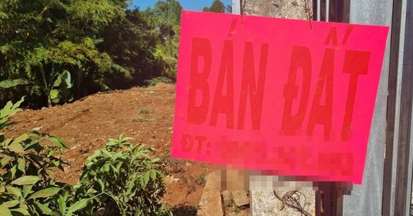 LẰN RANH: Vào tù nếu xù tiền cọc!