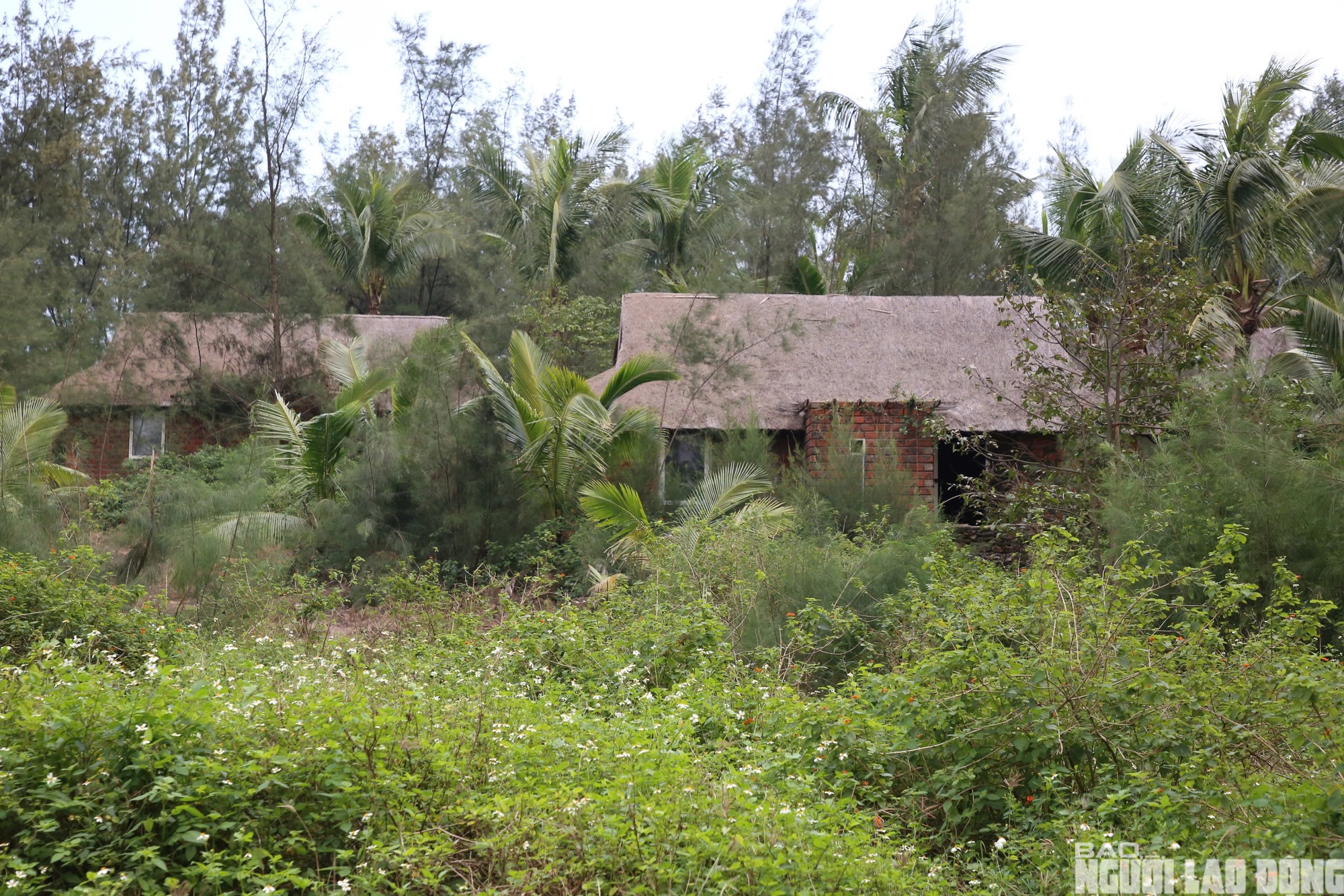 Cận cảnh 2 khách sạn 5 sao dang dở trên đất vàng ven biển Đồng Hới - Ảnh 5