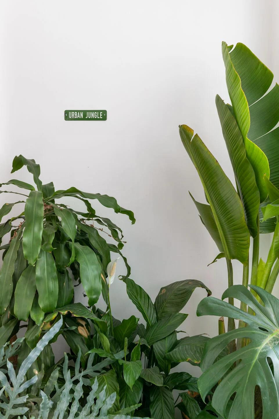 'Hồi sinh' căn hộ 70m2 ngập tràn ánh sáng - Ảnh 4