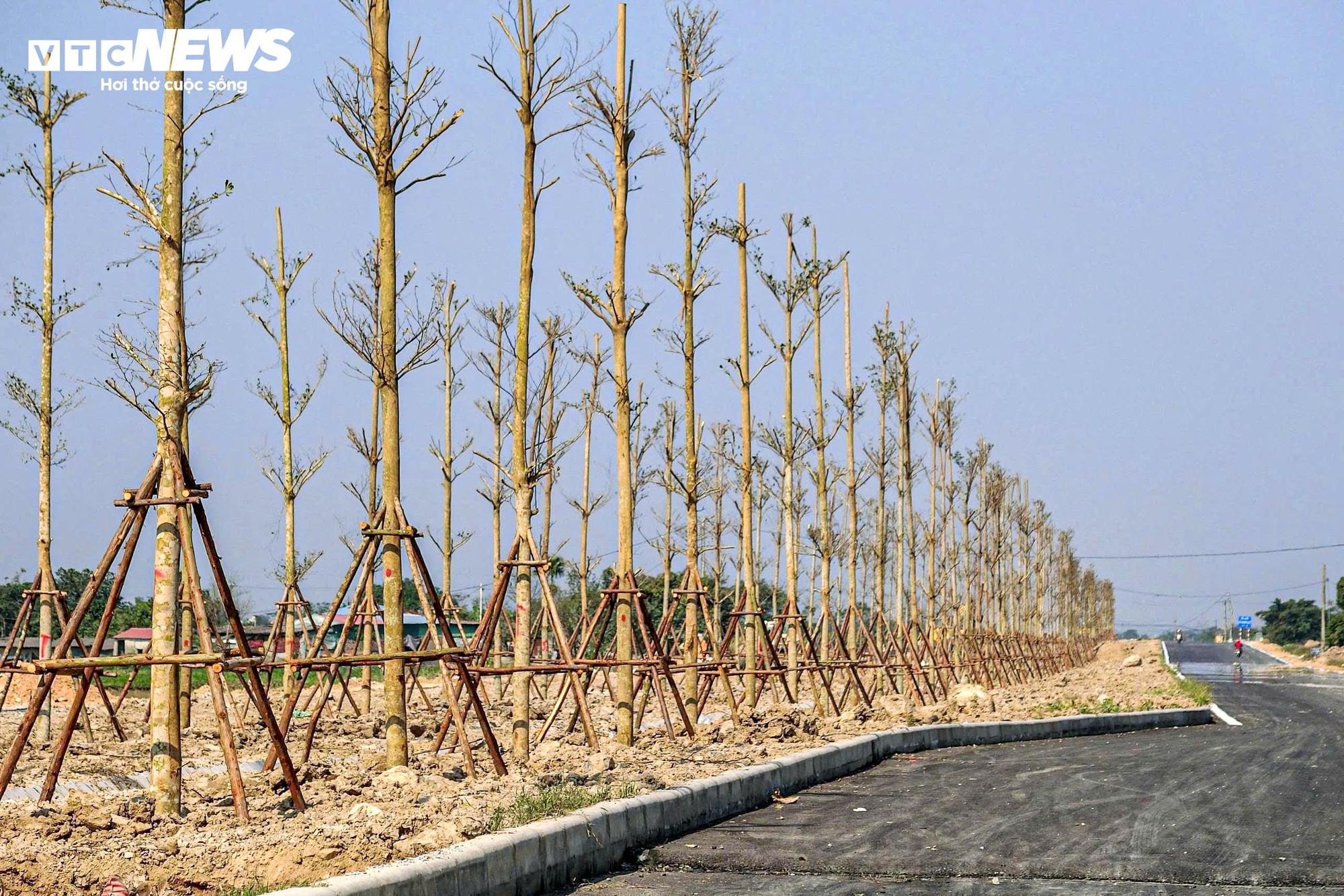 Đường trục phía Nam tăng tốc, chuẩn bị thông xe thêm 7km dịp Tết Nguyên đán - Ảnh 10