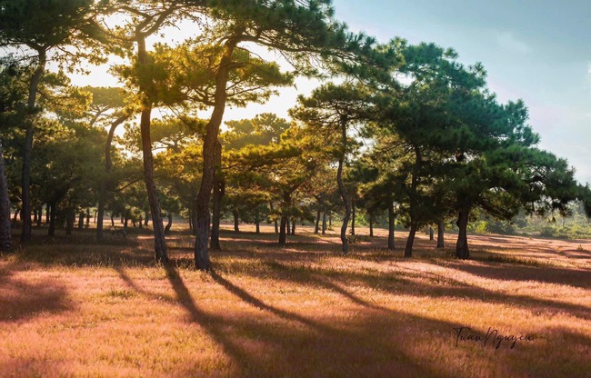 Sau nhiều năm chờ đợi, tin vui đã đến với dự án sân golf nghìn tỷ của Tập đoàn FLC tại Dak Đoa, Gia Lai - Ảnh 1