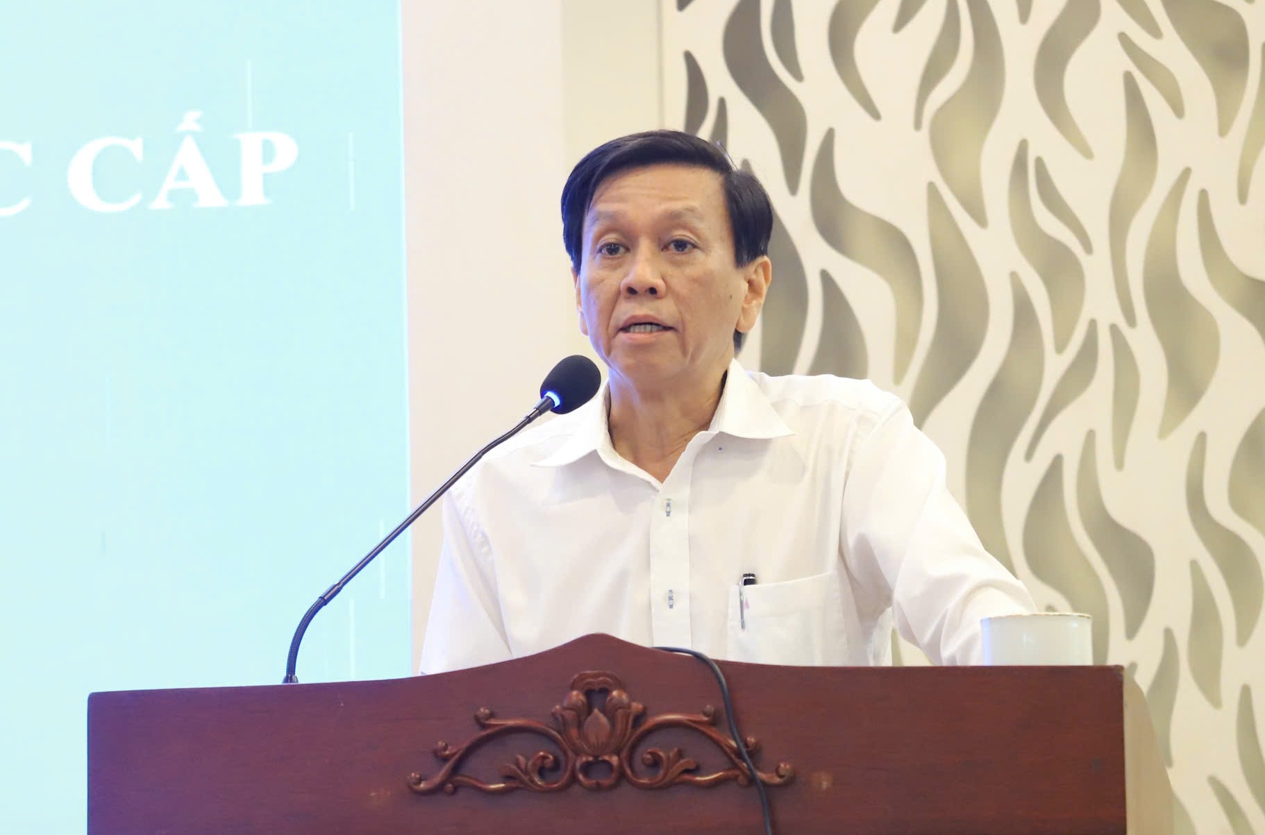 TS Trần Du Lịch: "Cái hay của Nghị quyết 260 là phân cấp, phân quyền rõ cho TPHCM" - Ảnh 4