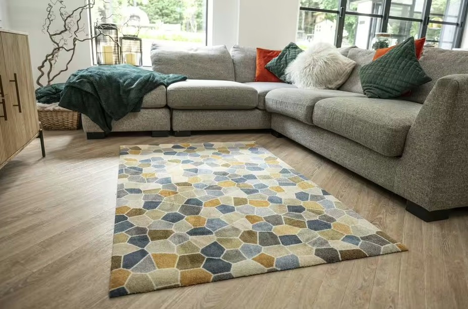 Phát cảnh báo cho tất cả các gia đình có thảm trong phòng khách - Ảnh 2