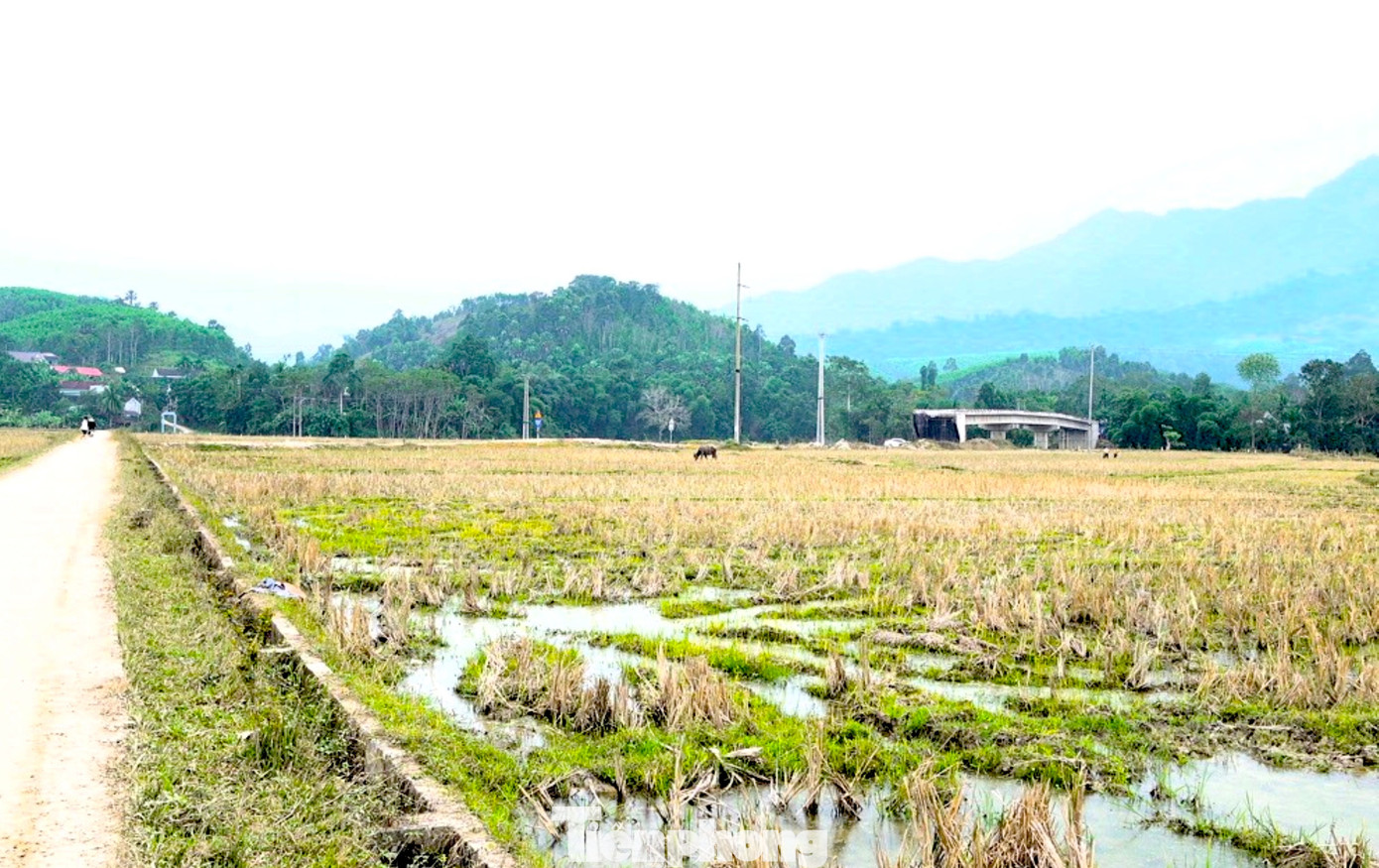 Cầu tiền tỷ xây xong rồi bỏ hoang - Ảnh 5