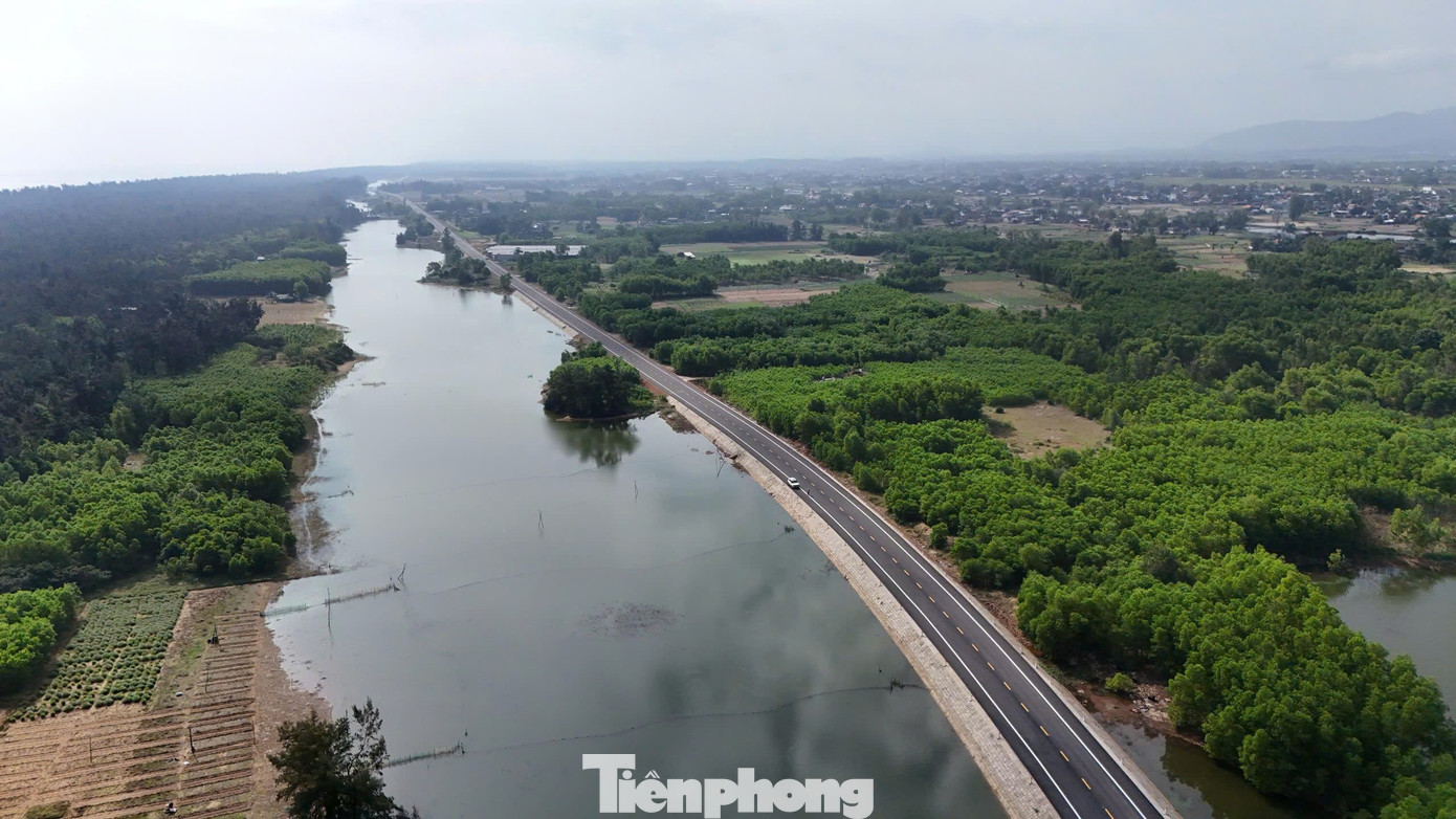 Ngắm cung đường ven biển băng qua rừng dương, cồn cát đẹp bậc nhất Quảng Ngãi - Ảnh 17