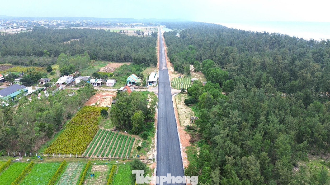 Ngắm cung đường ven biển băng qua rừng dương, cồn cát đẹp bậc nhất Quảng Ngãi - Ảnh 4