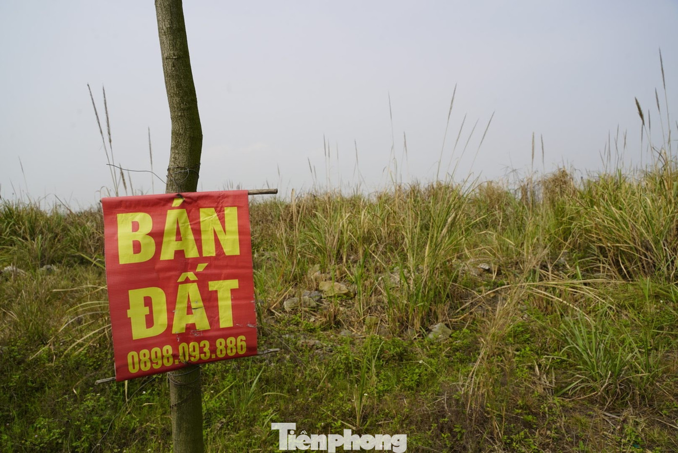 Dự án mắc kẹt hơn 20 năm, nhiều lô đất trùng - Ảnh 4