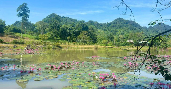 Bán lô đất bám hồ - tay chạm nước Phú Vinh Tân Lạc Hòa Bình, 2138m2