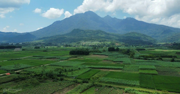 Bán đất nghỉ dưỡng ba vì view triệu đô tại Đa Cuống - Vân Hoà - Ba Vì