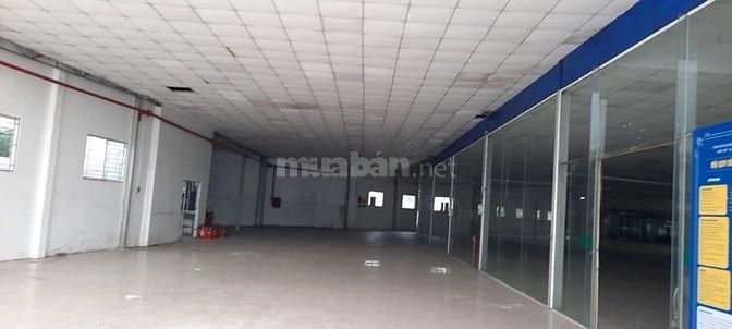 Cho thuê kho xưởng Trịnh Như Khuê, Bình Chánh  kv: 3.100m2, x: 2.500m2