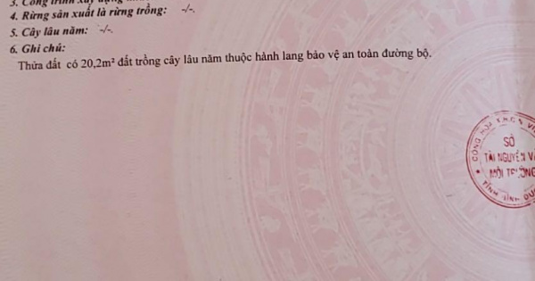 Bán biệt thư siêu đẹp (1.770m2 thổ cư 300m) phường Chánh Mỹ, Tp Thủ Dầu Một, Bình Dương