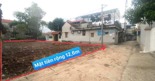 CC Bán đất dân cạnh khu đấu giá Bạch Đa, Kim Hoa, Mê Linh. Giá 32tr/m2 đường 4m mặt tiền rộng 12,6m