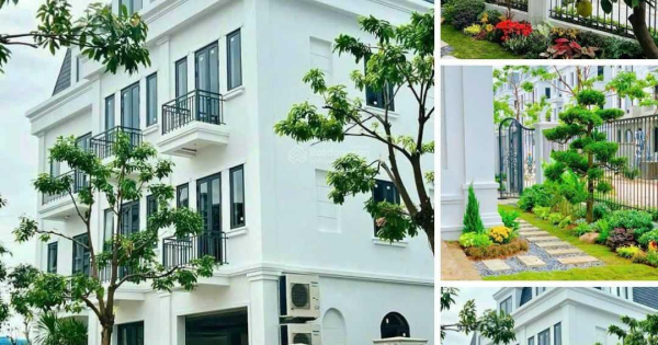 Biệt thự Solasta Mansion Dương Nội 170m đến 266m xây cao 4 tầng 5 phòng ngủ nhận nhà luôn