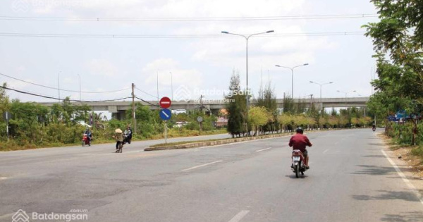 Em có nguồn đất lớn tại Cần Giờ đầy đủ pháp lý, vị trí đẹp và giá tốt. Ô tô tới tận nơi.