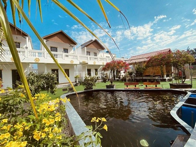 gộp cần bán gấp homstay nghĩ dưỡng ven biển hạ giá mạnh bán nhanh chỉ