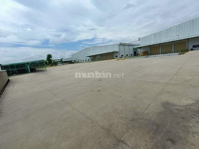 Nhà xưởng cho thuê giá rẻ đường Tĩnh Lộ 2 , Củ Chi , DT: 10.000m2